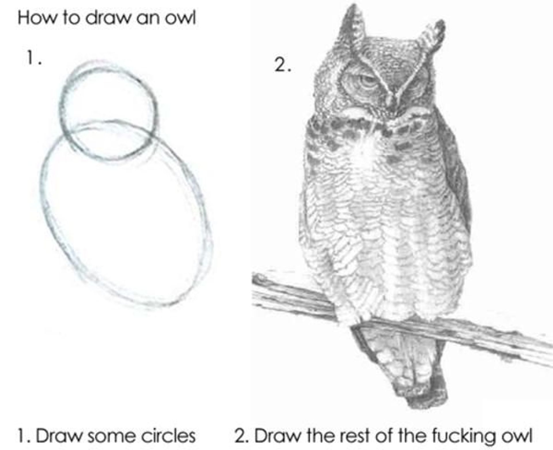 Visualization of how to draw an owl. First picture: two circles labeled "1. Draw some circles". Second picture: Picture of an own labeled "2. Draw the rest of the fucking owl"