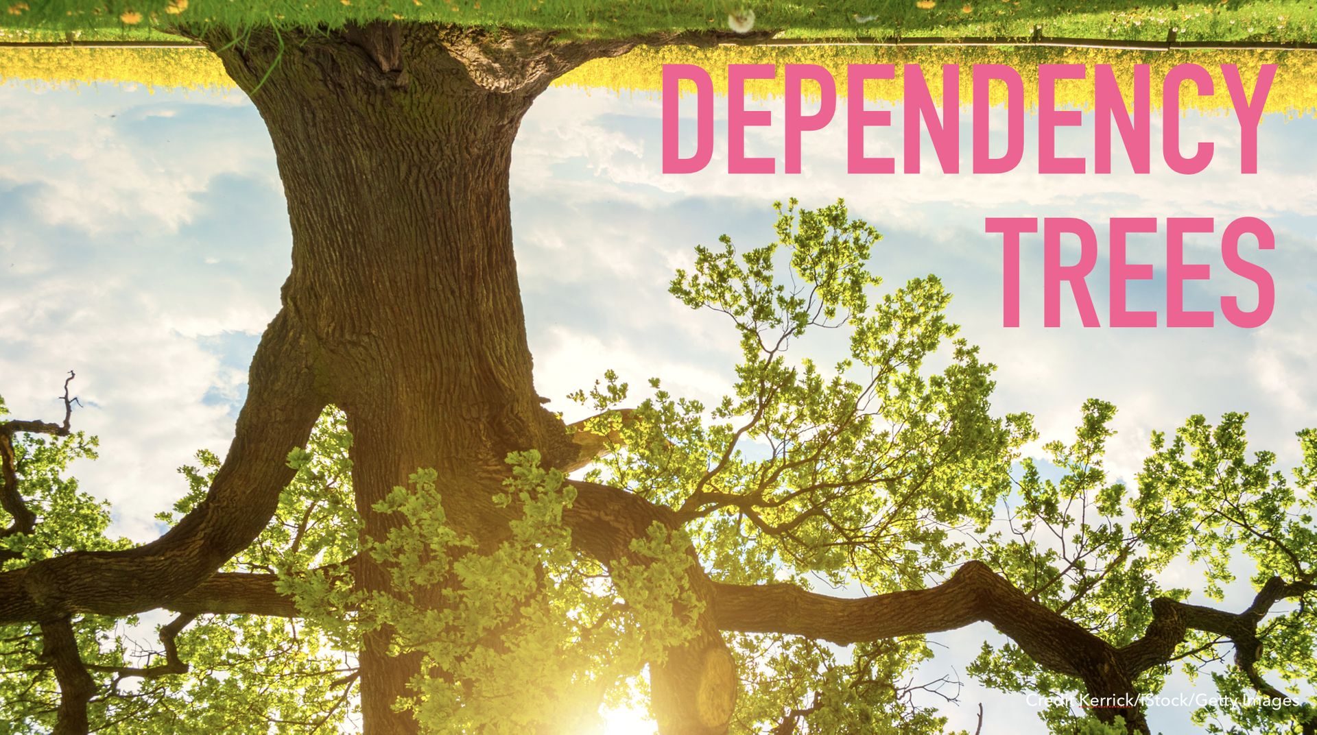 Slide text: Dependency trees